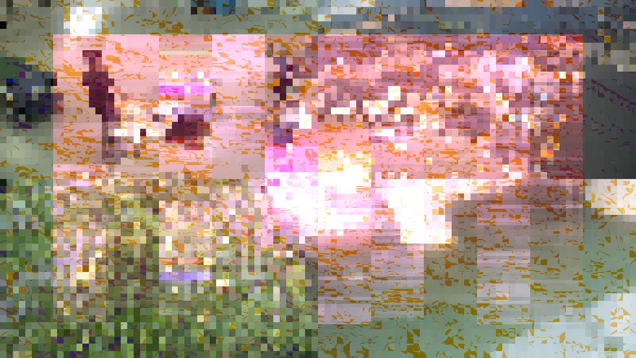 The four cameras in the pixelated stage of the set